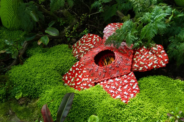 Corpse flower was made of interlocking plastic bricks toy. Scientific name is Rafflesia kerrii, Rafflesia arnoldii, Stinking corpse flower. The largest flower in the world. — Stock Photo, Image