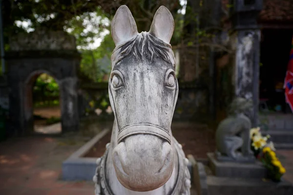 Ninh Binh Vietnã Feb 2020 Close Estátua Cavalos — Fotografia de Stock