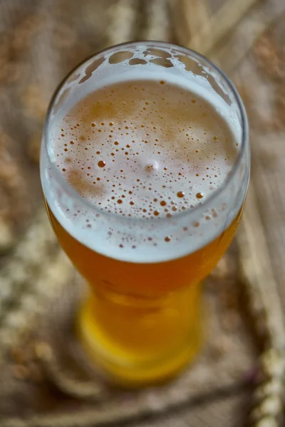 Glas Bier — Stockfoto