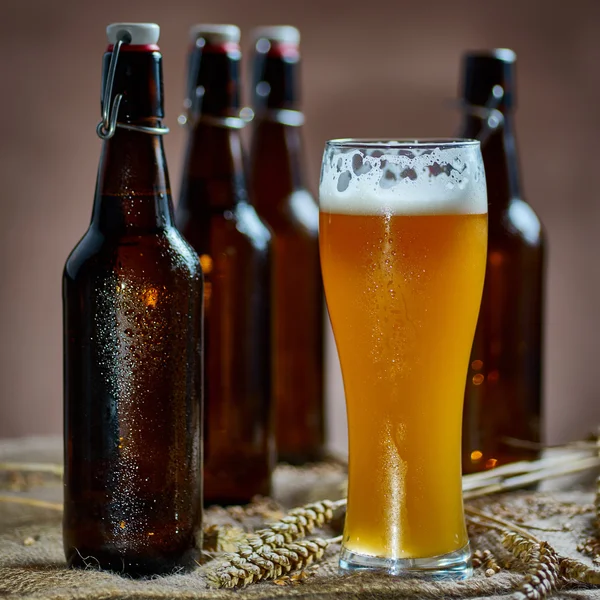 bardak ve şişe bira