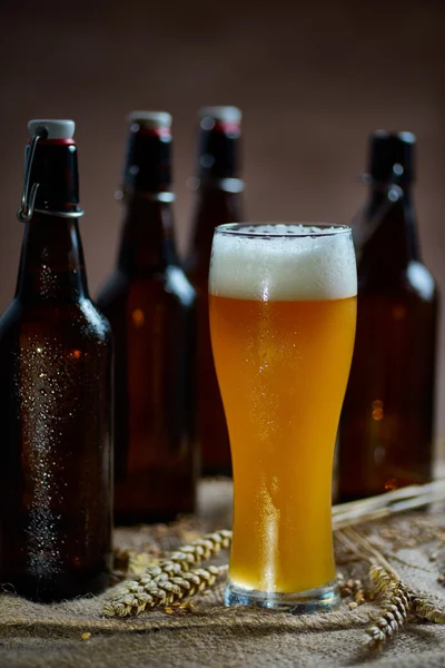 bardak ve şişe bira