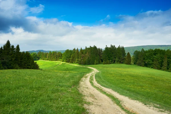 Kırsal yol ve yeşil alanına yaz, Polan Beskidy Mountains içinde