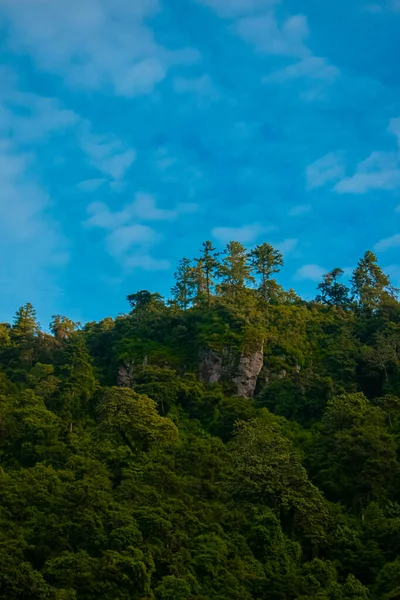 Δέντρα Στην Κορυφή Του Μεγάλου Βράχου Γαλάζιο Ουρανό — Φωτογραφία Αρχείου