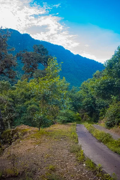 Paisagem Passeio Floresta Verde Com Montanha Azul — Fotografia de Stock