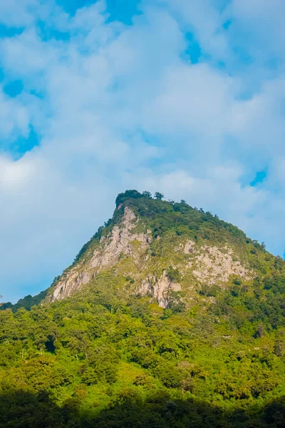 Pico Colina Con Inmenso Bosque — Foto de Stock