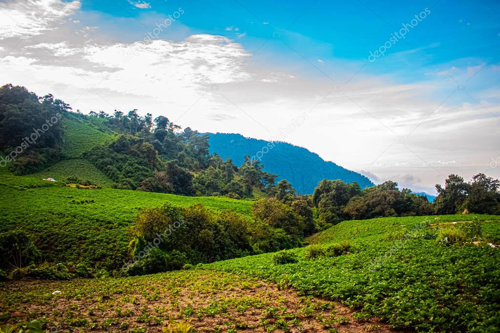 valley landscape with green field with mountains