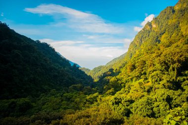 Vadinin doğal manzarası ve güzel orman