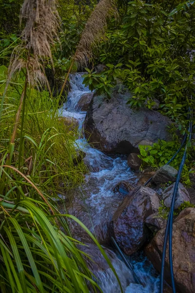 Río Dulce Entre Rocas Plantas —  Fotos de Stock