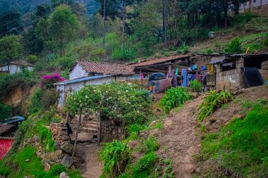 Çiçekli ve ormanlı bir ev.