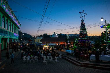 night landscape with park and christmas tree