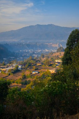 Evleri ve yeşil çikola ağaçları olan vadi