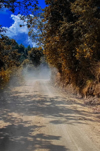 Caminho Floresta Com Poeira — Fotografia de Stock