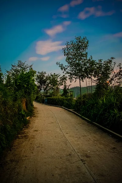 Красивая Дорога Между Деревьями Закатом — стоковое фото