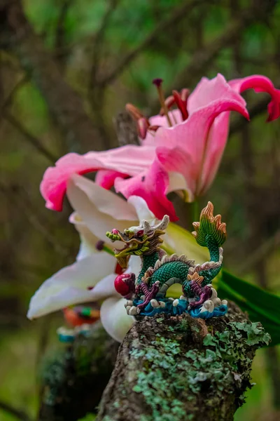 Vacker Färgglad Drake Med Blommor Skogen — Stockfoto