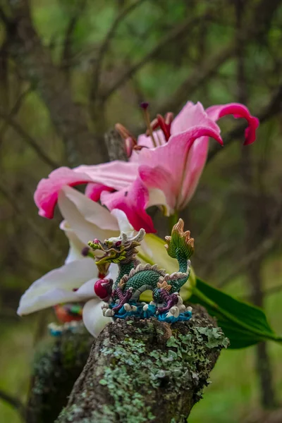 Vacker Färgad Drake Med Blommor — Stockfoto