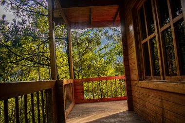 Ağaçlı ve patikalı ahşap ev