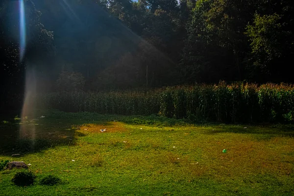 Campo Con Hermoso Amanecer Campo Verde — Foto de Stock