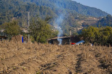 Kuru tarlalarda mısır sapları ve kerpiç evleri.