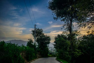 Ormanın ortasında güzel bir alacakaranlıkla yol.