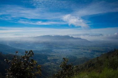 Ormanlardan yükselen mavi gökyüzü ve sisli vadi manzarası
