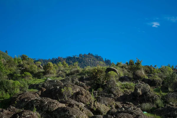 Μεγάλη Γρατσουνιά Βράχου Φυτά Και Μπλε Ουρανό Χαλάζι Cajola — Φωτογραφία Αρχείου