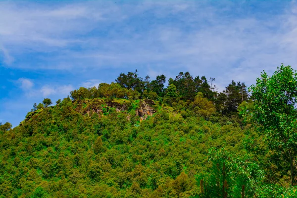 Πράσινο Τοπίο Των Δέντρων Άσπρα Σύννεφα Cerro Granizo Cajola — Φωτογραφία Αρχείου