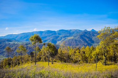Üzerinde yeşil ağaçlar, vadide dağlar ve mavi gökyüzü olan bir tarla.