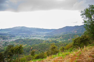 Yağmurlu havası olan tropikal ormanlı vadi manzarası güzel bir yer.