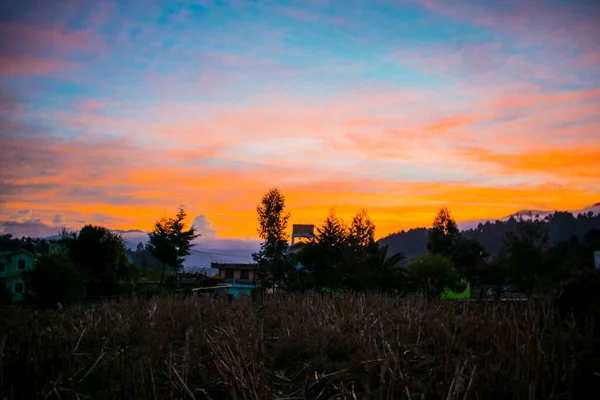 Güzel Günbatımı Arkaplanı Mavi Gökyüzü Olan Ağaçların Silueti — Stok fotoğraf