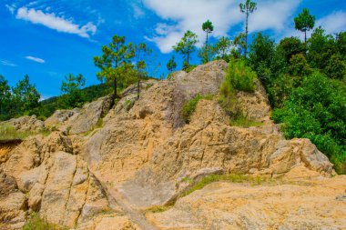 Çam ağaçları ve gökyüzünde bulutlar olan sarı tepe