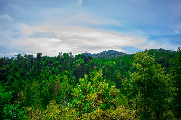 Beeindruckende Frühlingslandschaft Mit Grünen Bäumen Und Dschungel Mit Bergen Mit — Stockfoto