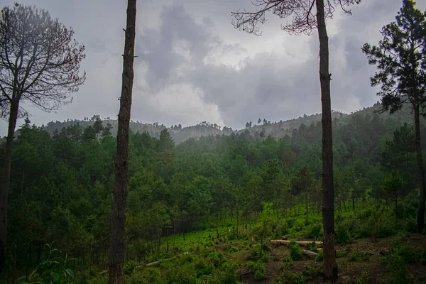 Chuva Descendo Das Montanhas Com Floresta Tropical Com Nuvens — Fotografia de Stock