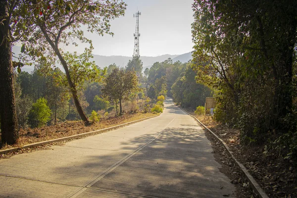 Ασφαλτοστρωμένος Δρόμος Δέντρα Φθινόπωρο Τοπίο Τηλεφωνικό Πύργο — Φωτογραφία Αρχείου