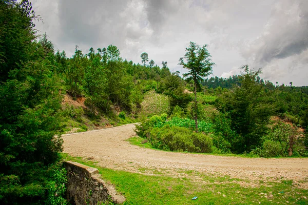 Estrada Impressionante Com Curva Árvores Nas Margens Com Chuva — Fotografia de Stock