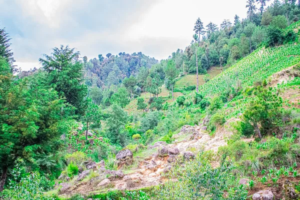Lehm Zwischen Felsen Mit Natürlichem Wald Mit Hügeln — Stockfoto