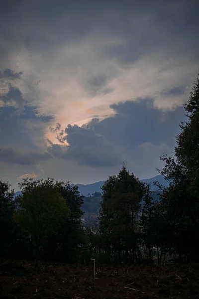 Günbatımı Bulutları Olan Siyah Ağaçların Silueti — Stok fotoğraf