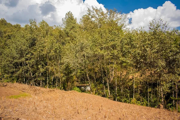 Hutan Hijau Dengan Lapangan Kering Dengan Awan Indah Xecol Cajola — Stok Foto