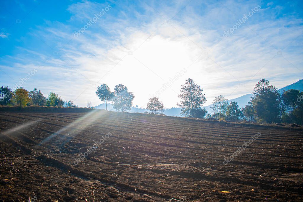 beautiful sunrise with dry field with trees and sun shining