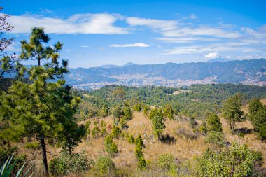Vadi yeşil çam ağaçları dağlar ile güzel orman manzarası