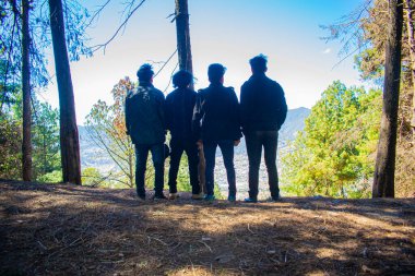 Genç insanlar ormanda dikilip ağaçlarla vadiye bakıyorlar.