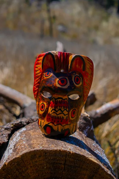 Ormandaki Çam Kütüğünde Şık Köpek Maskesi — Stok fotoğraf