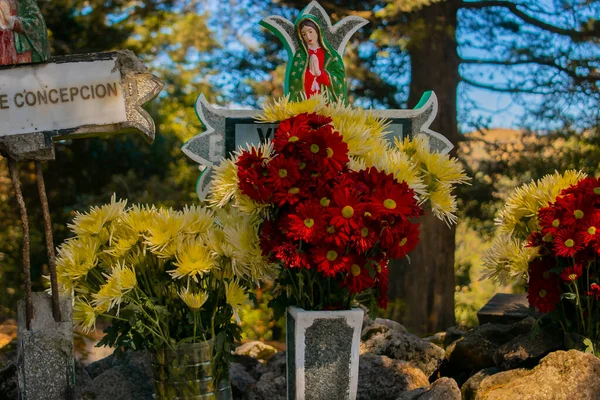 Flores Rojo Amarilla Con Santo Imagen Virgen Guadalupe — Stock Photo, Image