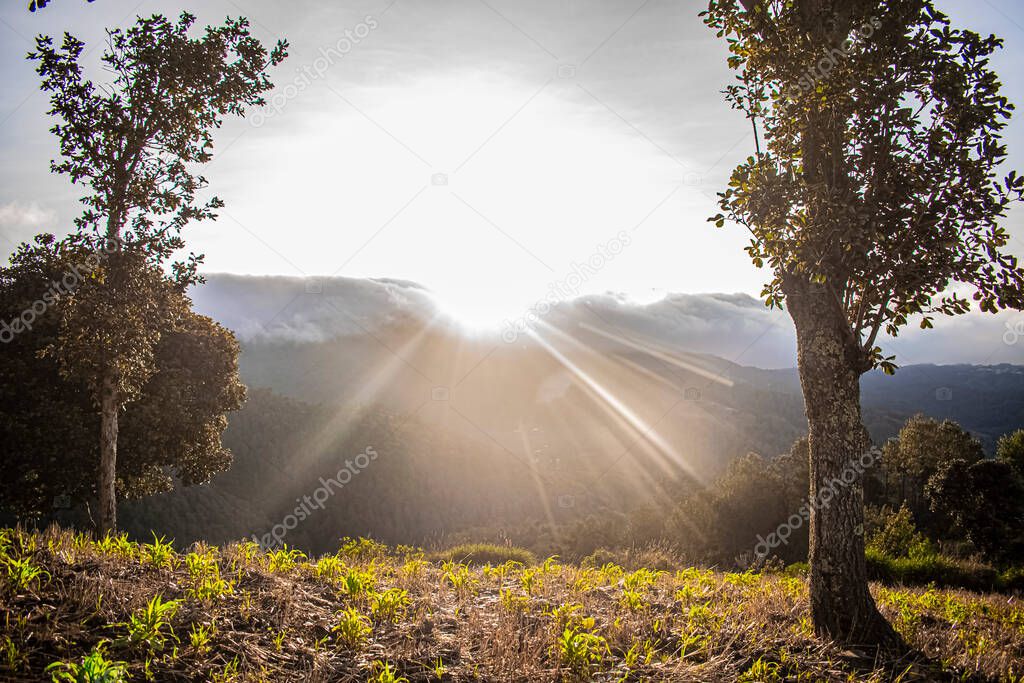 sunrise sun rising in the mountains with clouds and green field of corn