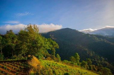 paisaje de montaa sagrada de Guatemala con arboles verdes y cielo azul 