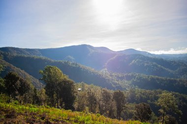 Parlayan güneş ve ağaçlarla dolu güzel dağlar.