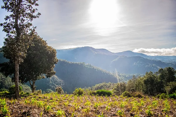 Hermoso Paisaje Sol Brillando Las Montañas Con Campos Maíz Imágenes de stock libres de derechos