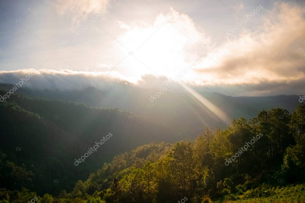 sunrise with sun shining with mountains with trees green spring landscape