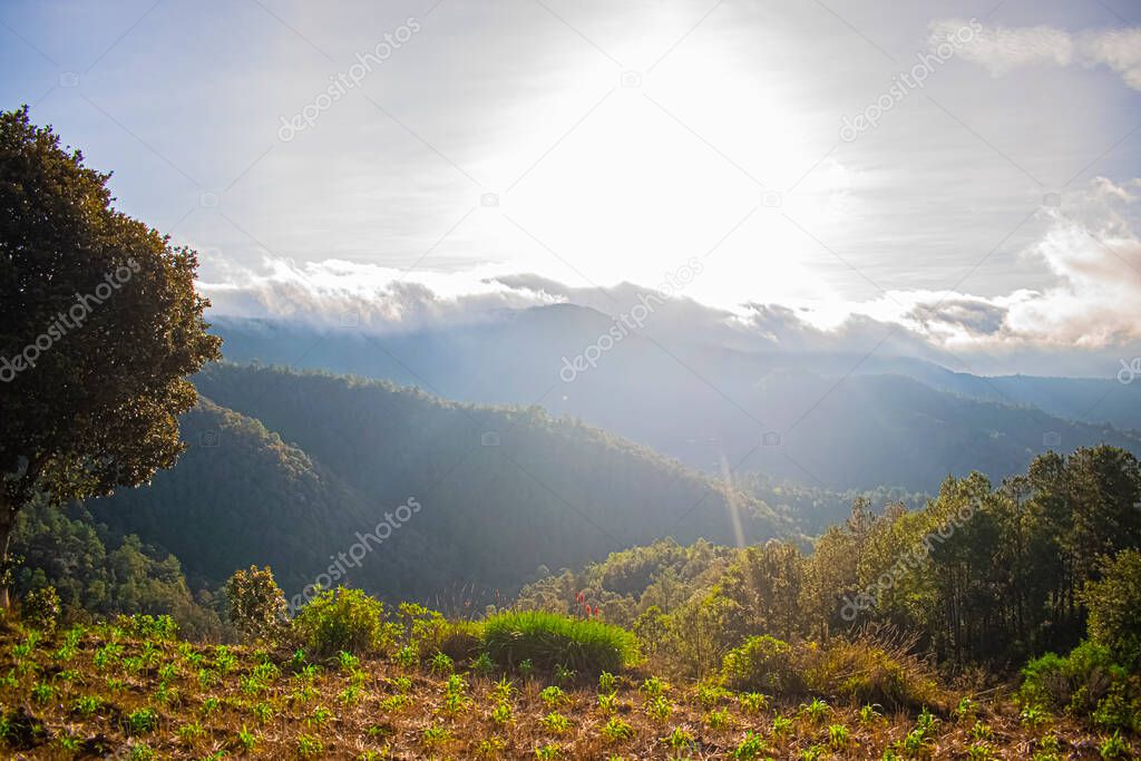 sunrise sun shining shining in the mountains with tropical forest