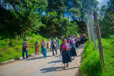 Kadınlar ormanın ortasında yürüyorlar.