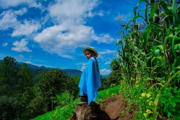 男孩站在田野的原木上 带着危地马拉国旗和山水的背景 — 图库照片